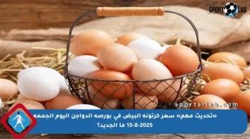 «تحديث مهم» سعر كرتونة البيض في بورصة الدواجن اليوم الجمعة 15-8-2025 ما الجديد؟